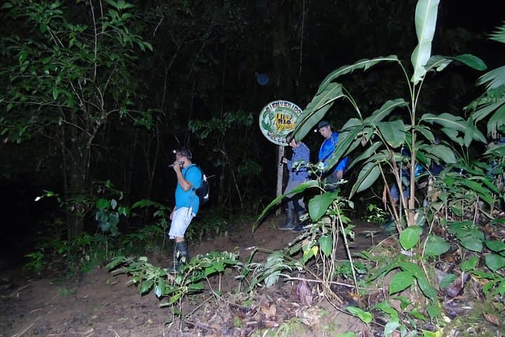 Night Tour Traail