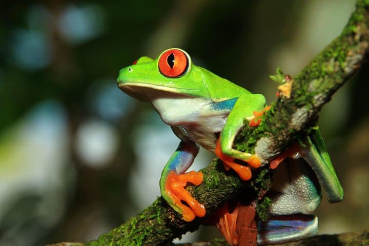 Photography Tour at Natura Eco Park