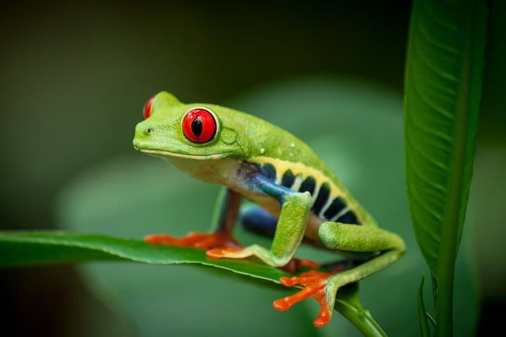 Natura Eco Park Admission