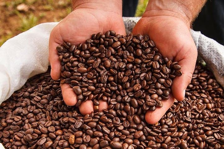 Doka Estate Coffee Tour, Grecia and Sarchi Oxcarts factory