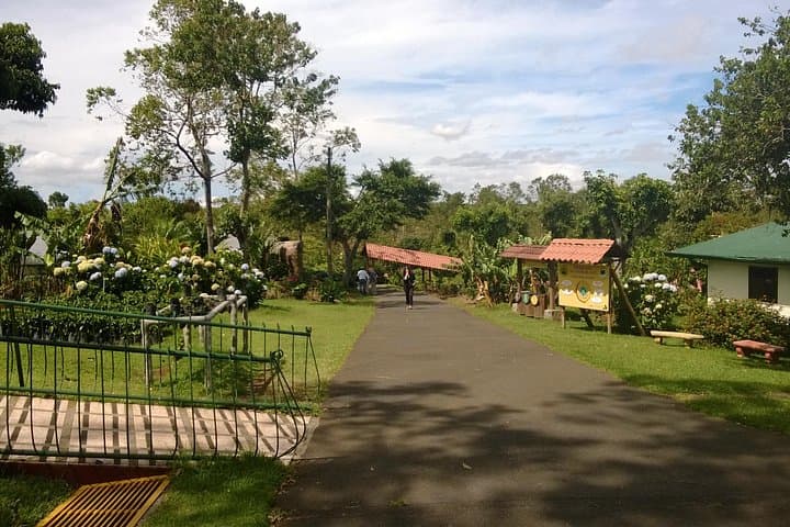 Coffee Plantation close by SJO