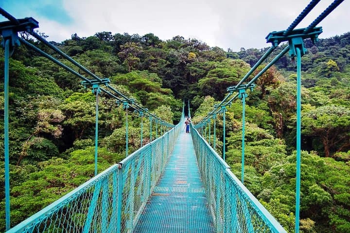 Monteverde tour from San Jose