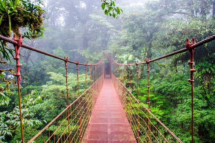 15 Days Beaches and Nature with Tambor from Liberia