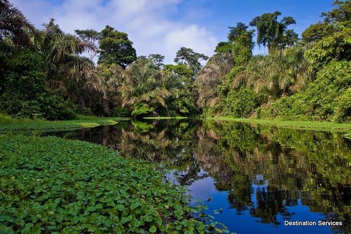 10 Days Caribbean to Pacific - Self Drive from San Jose