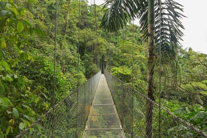 10 Days Essential Costa Rica Package with Manuel Antonio, Self-drive