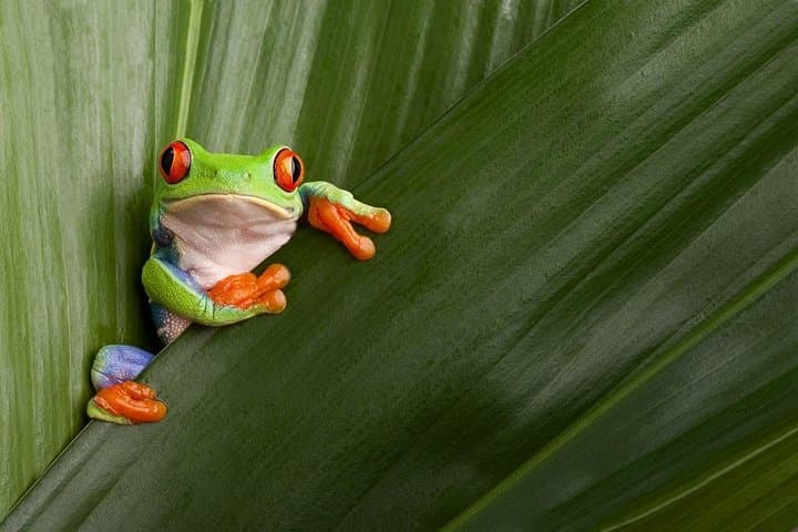 11 Days Ultimate Escape Costa Rica, Self Drive from Liberia