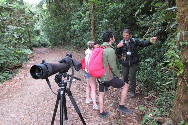Walk in Santa Elena Cloud Forest Reserve