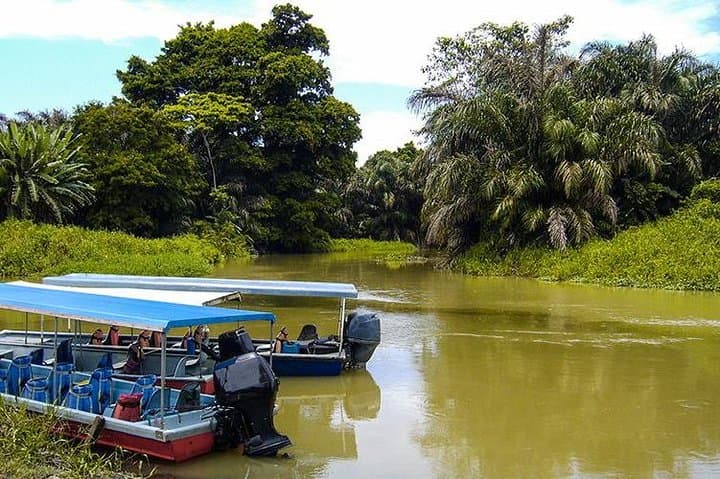 4-Day Adventure in Tortuguero National Park