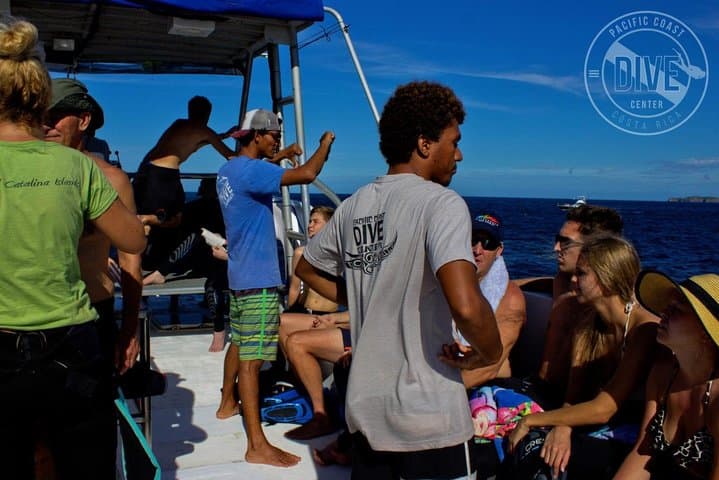 Two Tanks Scuba Diving Tour at Catalina Islands & North Island - CR
