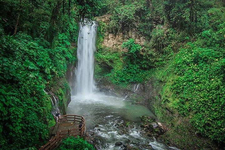 San Jose Tours: La Paz Waterfalls Gardens Private Transportation & Tour Guide