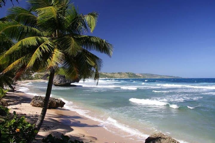 Shuttle To Liberia Airport To Santa Teresa, Montezuma & Mal Pais Beach