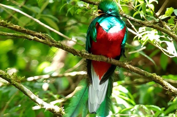 Hiking to Curi-Cancha Reserve