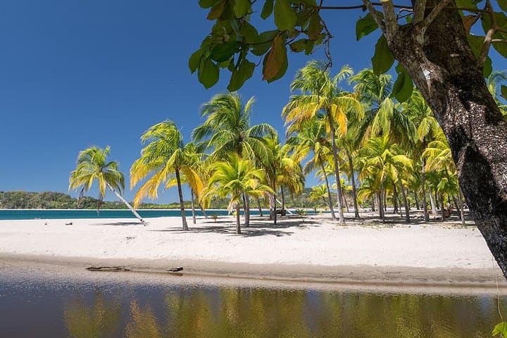 Private Transfer From Liberia Airport To Samara Beach And Carrillo Beach