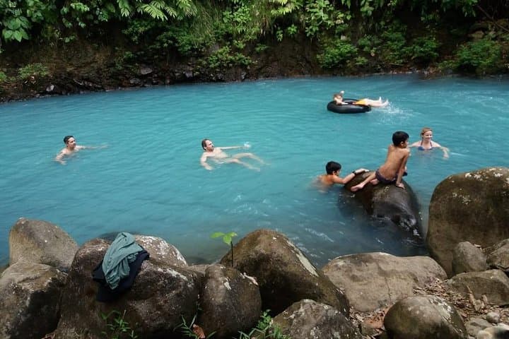 Natural swimming pool