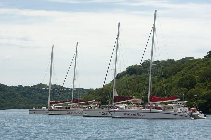 Marlin del Rey Catamarans