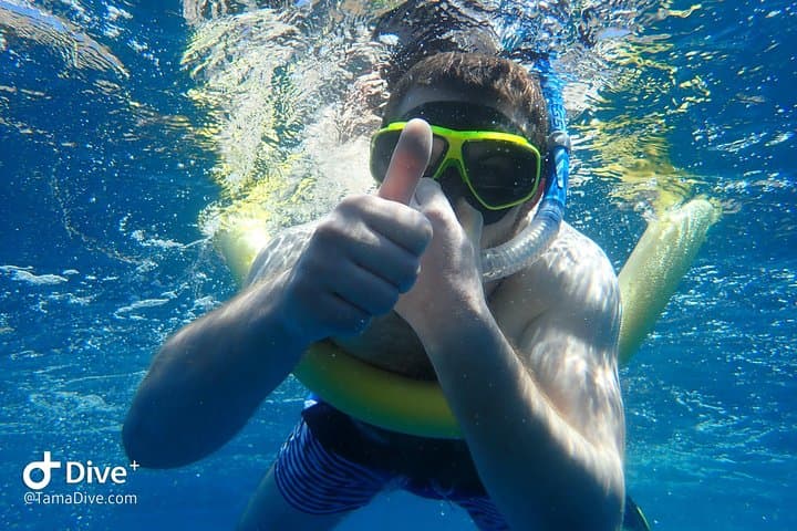 Snorkeler