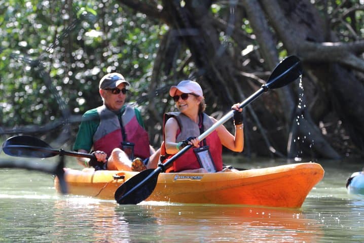 Damas Island Kayaking Tour