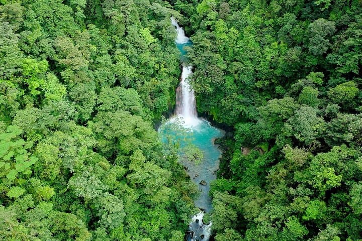 Rainforest Hiking, Sloth & wild life sanctuary, Celeste Waterfall Private Tour