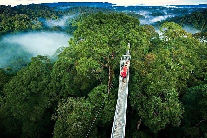Monteverde Cloud Forest and Hanging Bridges