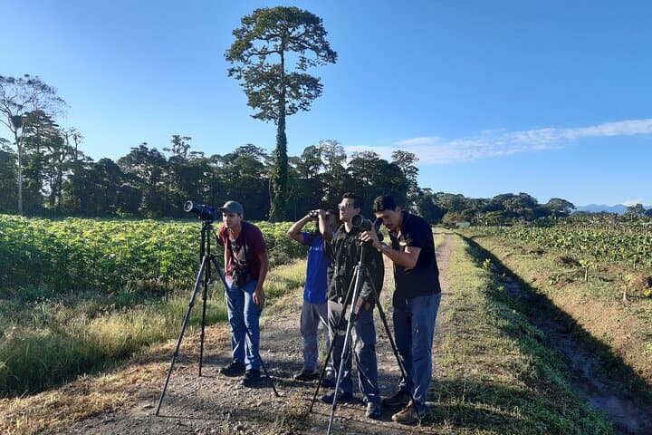 Profesional Guides