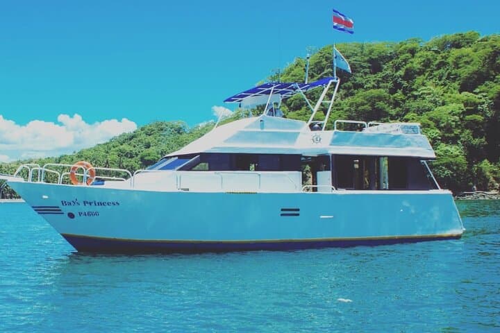 Full Day Tour to Tortuga Island from San José