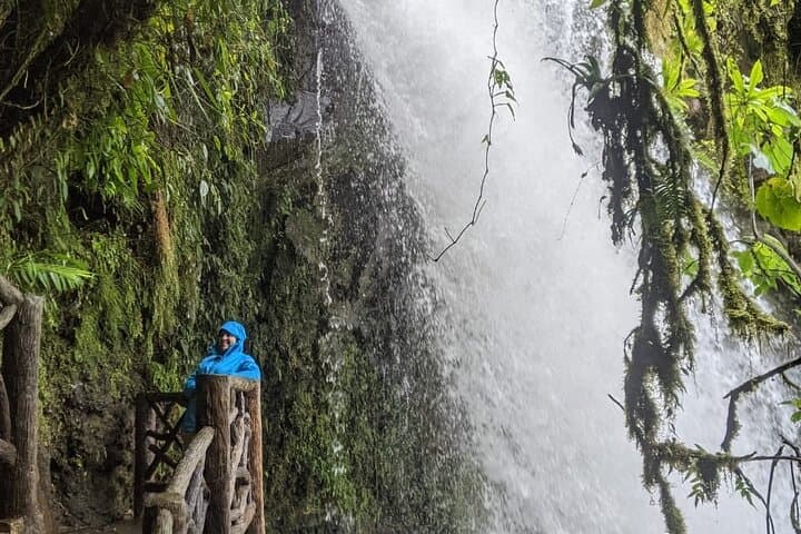 Poas Volcano and La Paz Waterfall Gardens Private Tour