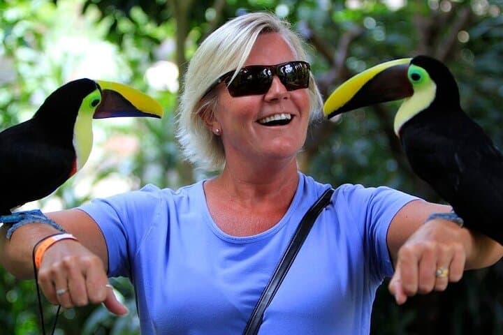 Private Day Tour in La Paz Waterfall Gardens & Baldi Hot Springs from San Jose