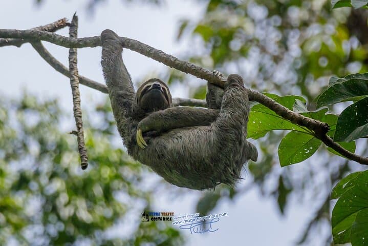 Manuel Antonio National Park tour