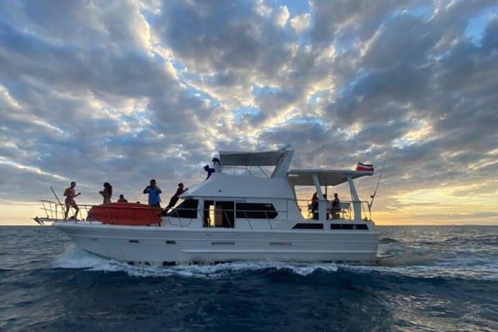 Half-Day Private Cruise in Bahía Herradura