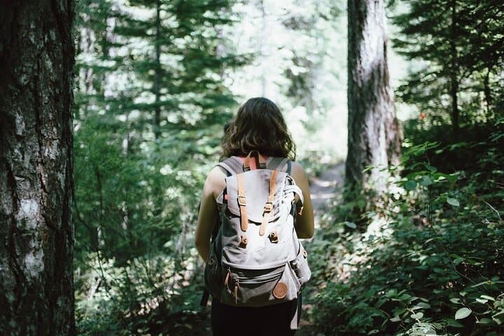 Private Jungle Tour in the Carara National Park