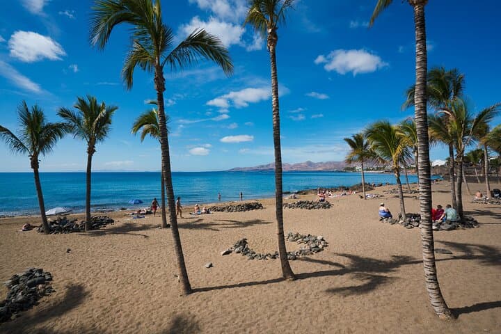 From Tamarindo To San Jose Airport, Shuttle Service