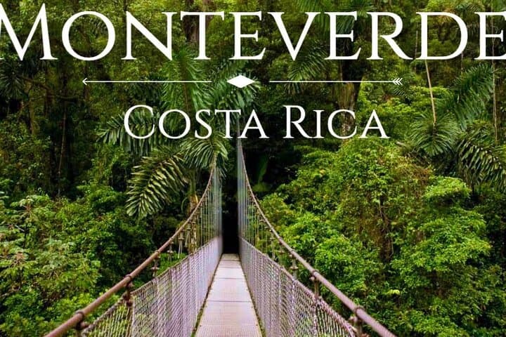 Shuttle Service From San Jose To Monteverde