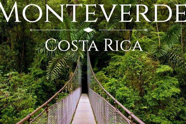 Shuttle Service From San Jose To Monteverde