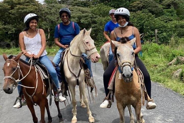 Miravalles Volcano Horseback Ride, Sloth Walk, Hot Springs &Lunch
