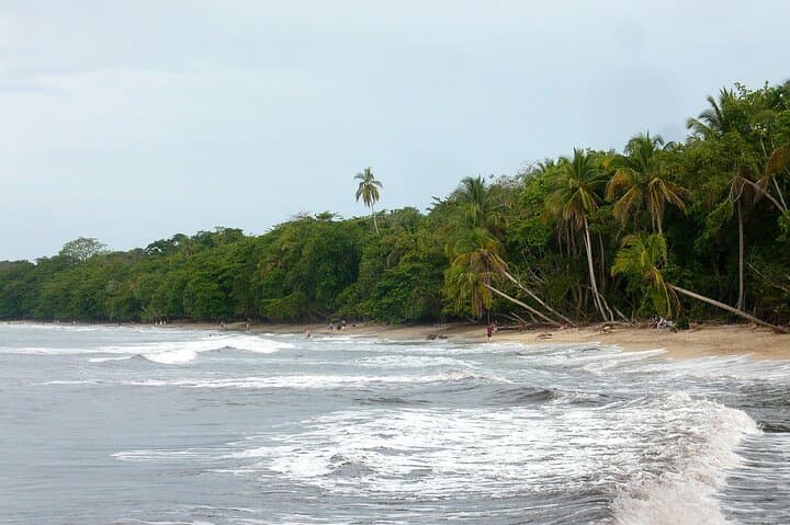 Private Transfer From San Jose Airport To Cahuita
