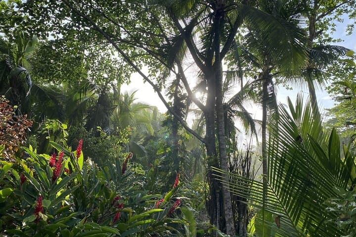 Personalized Private Tour Experience - Costa Rica