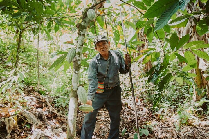 Costa Rica Wildlife, Nature and Cultural Immersion - 10 days Private Tour