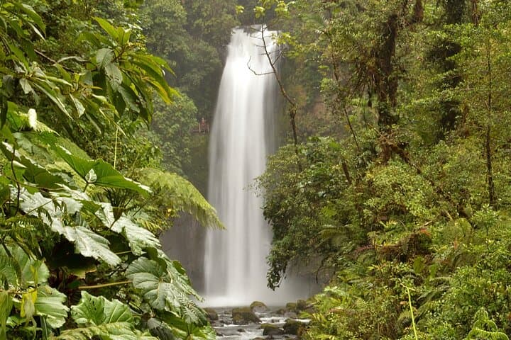 Private Transfer From San Jose to Monteverde With 2 Stops