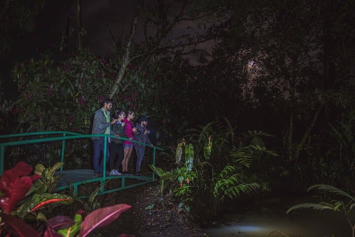 Ecogarden Arenal Night Walk