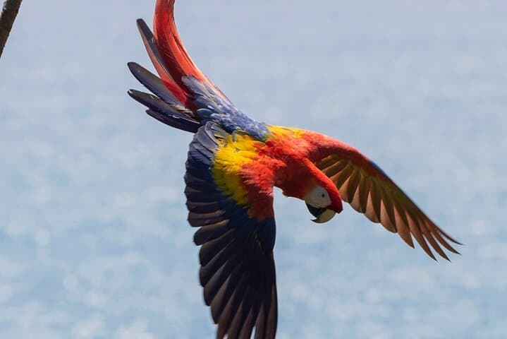 Once in a Life Time Macaw Sanctuary and Side By Side Tour