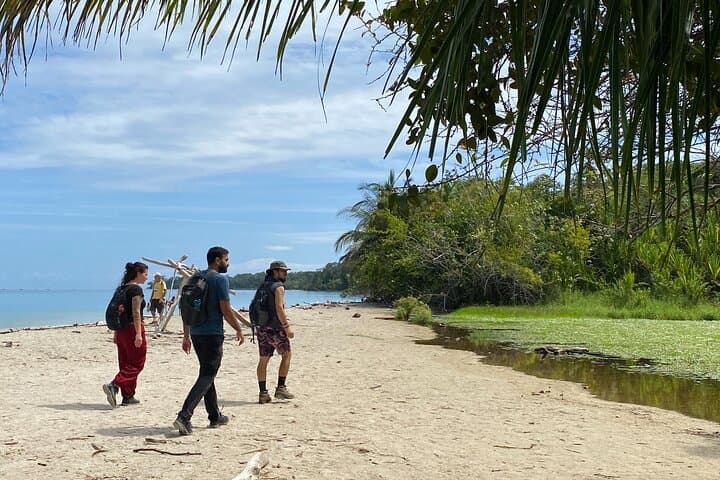 Cahuita National Park Tour and Water Experience in Puerto Viejo