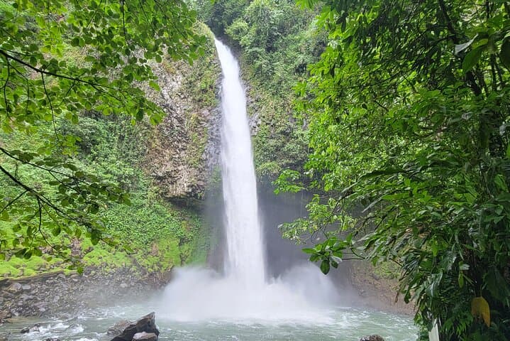 8 Days Costa Rica Rainforest & Coastal Experience