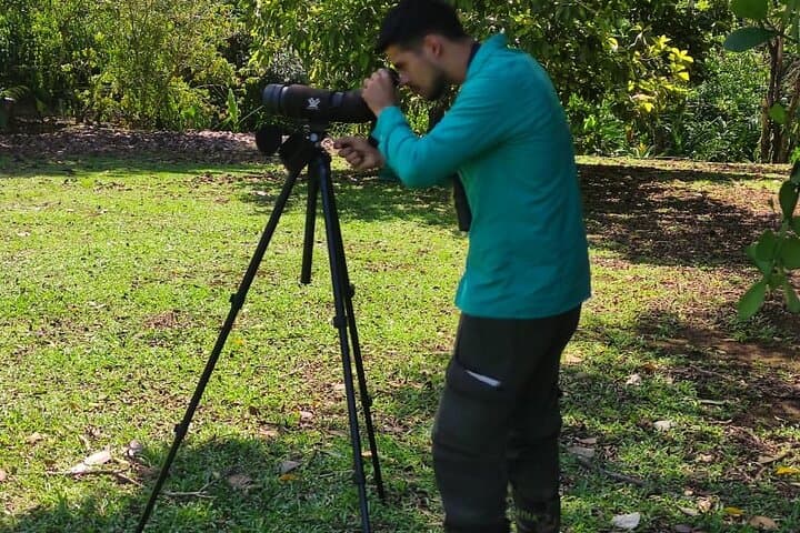 Hiking and birdwatching Nosara
