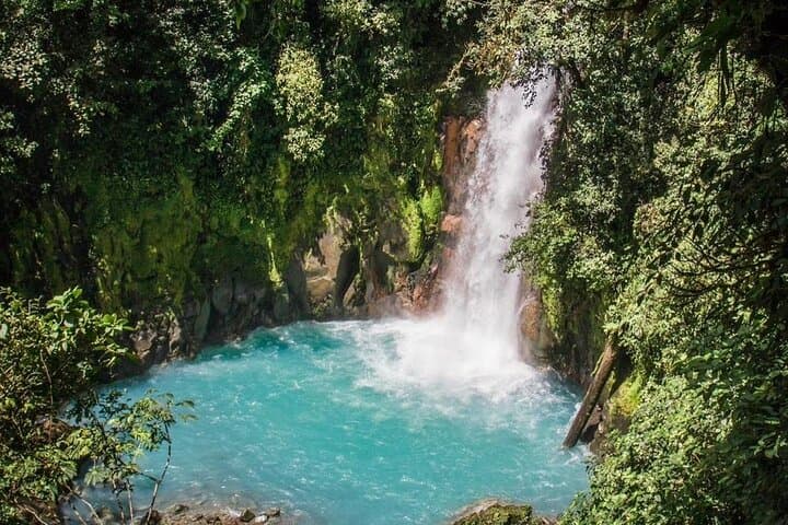 Rio Celeste Waterfall & Sloth Encounter Tour