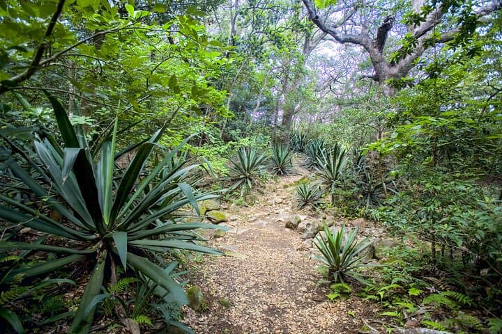 Rincon De La Vieja Hiking from JW Marriott Costa Elena