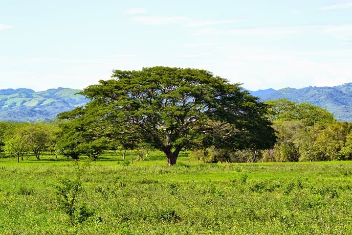 Private Transfer from JW Marriott Costa Elena to Liberia Airport