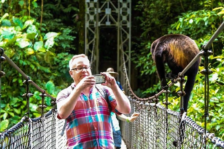 Majestic Arenal – A Private Volcano & Rainforest Experience