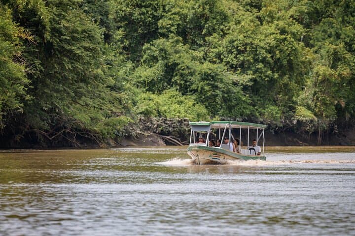 Palo Verde National Park from Tamarindo & Guanacaste -- Native's Way Costa Rica Tours & Packages