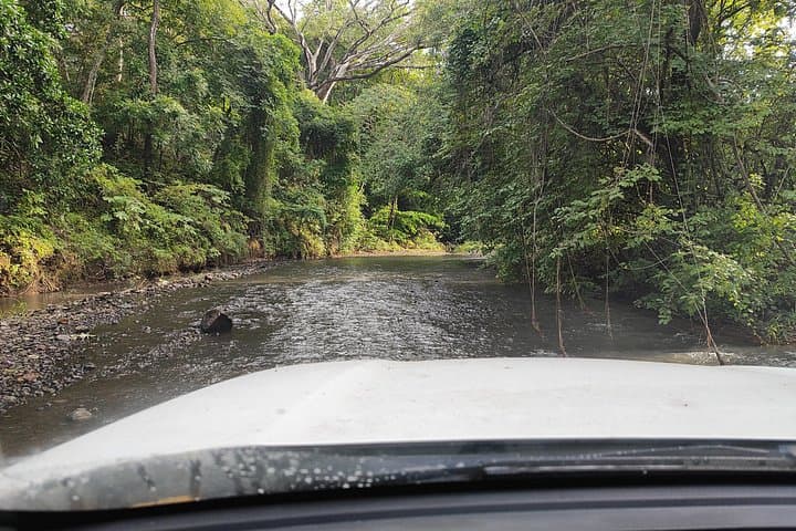 Private Hiking on Dry Forest in Costa Rica