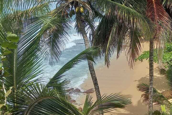 Manzanillo, Limón
